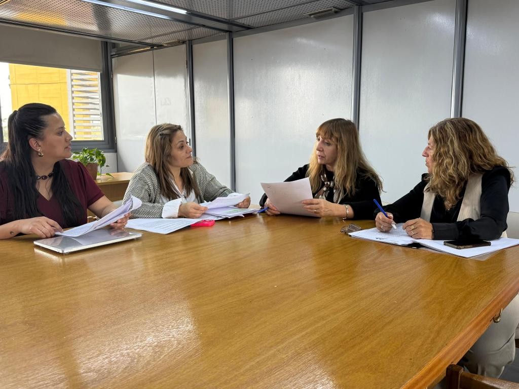 Bebé de Rancul: la Comisión Investigadora pidió documentación a Ziliotto y comenzará con las citaciones