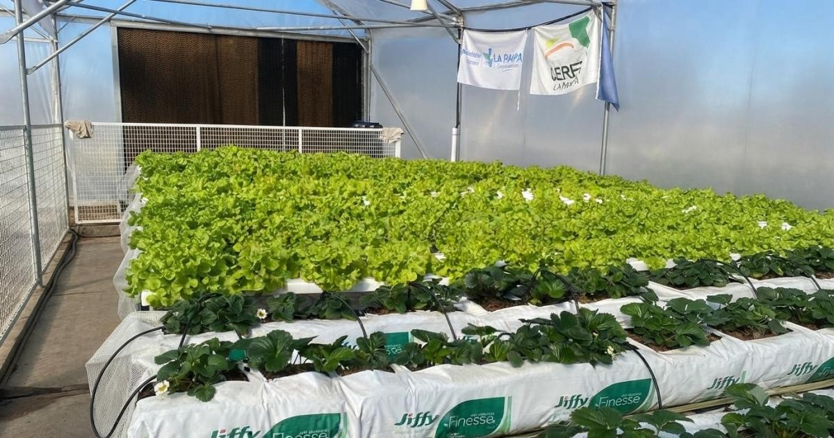Jornada Hortícola Invernal 2026 en el CERET de General Pico